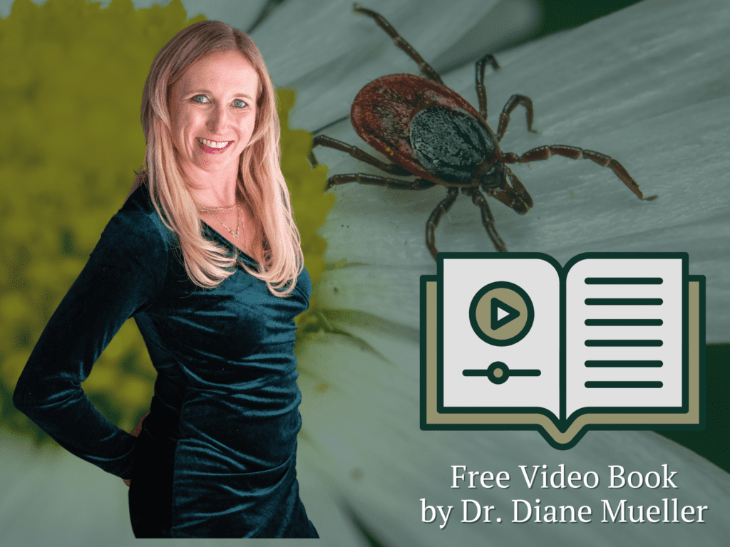 Lyme Disease and Mold Illness Video Book 8 × 6 in