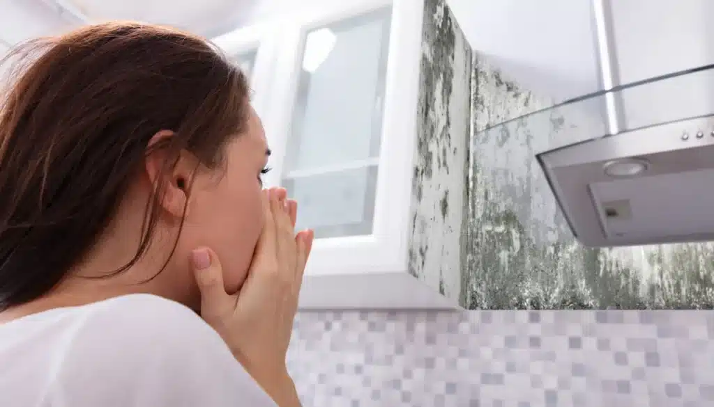 lyme disease neurological symptoms mold trigger