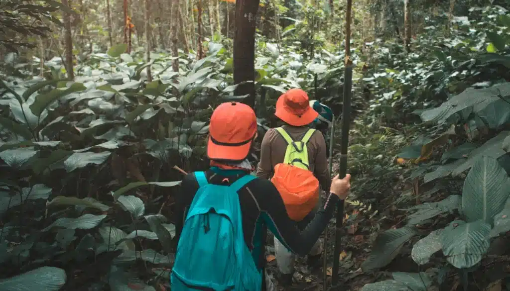 people hiking