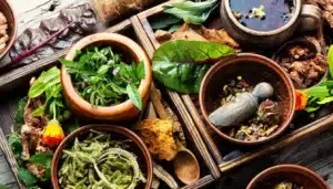 herbs for lyme disease