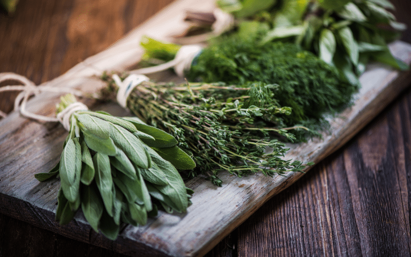 lyme disease herbal treatment