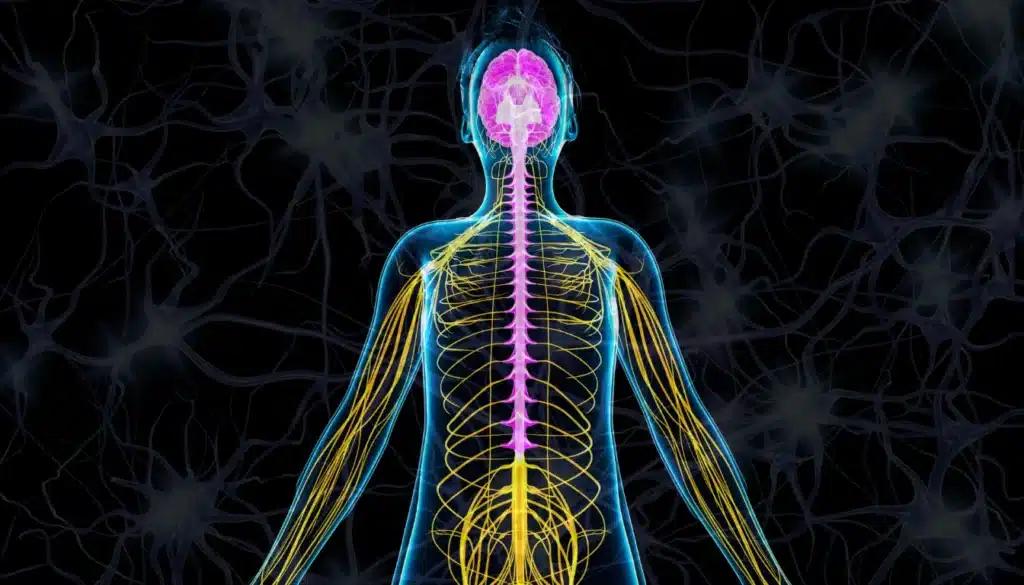 lyme disease neurological symptoms