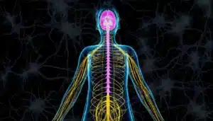 lyme disease neurological symptoms