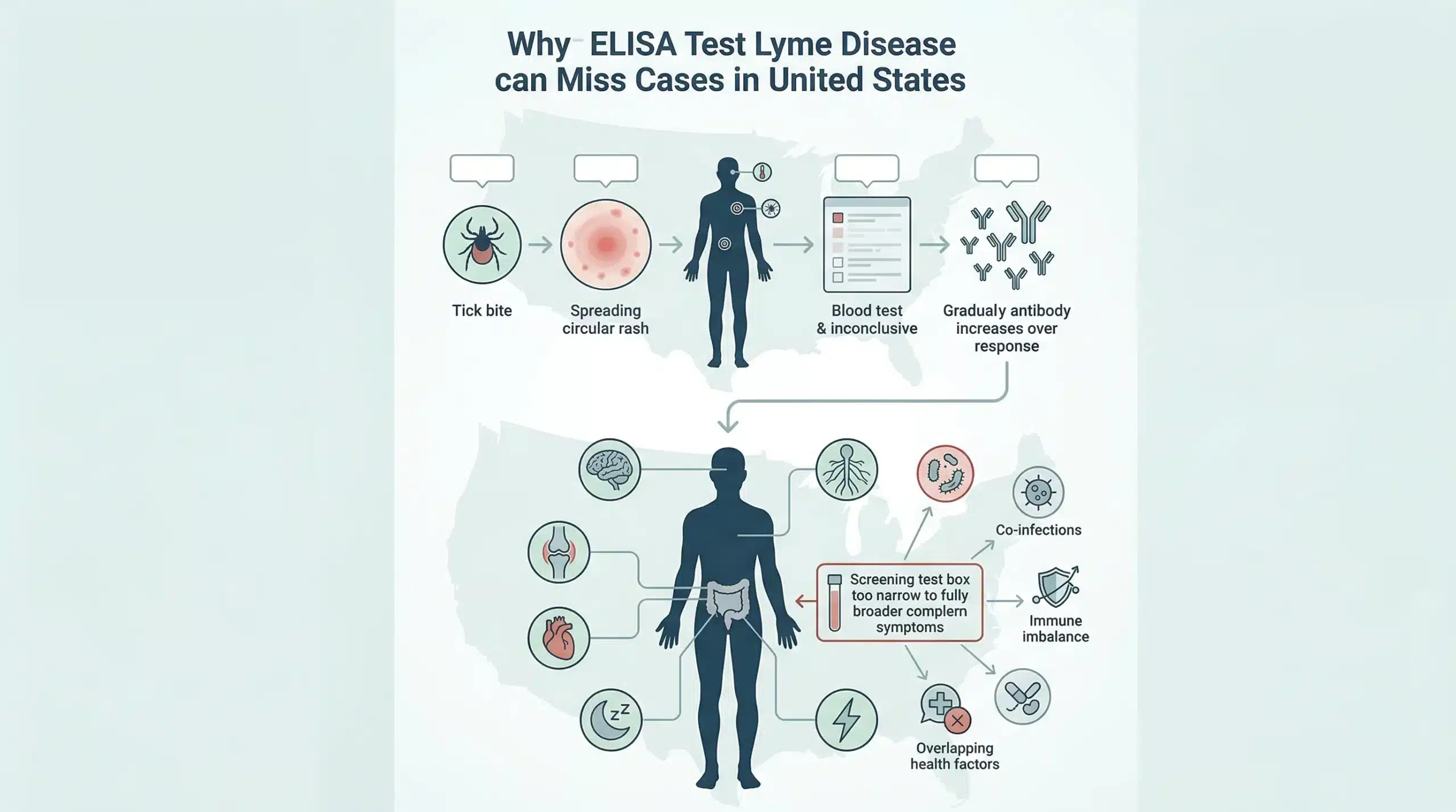 ELISA test for Lyme disease