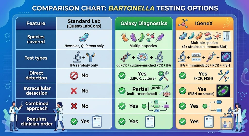 Comparison chart of standard lab vs Galaxy Diagnostics vs IGeneX Bartonella testing options including species coverage and detection methods