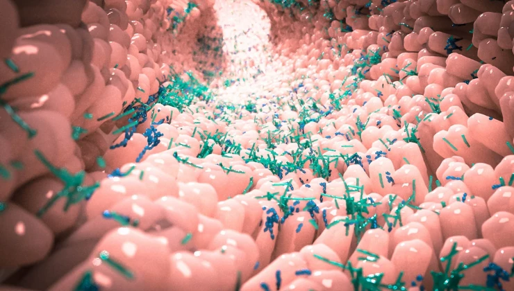 GHK-Cu Peptide (Copper Peptide) gut healing use