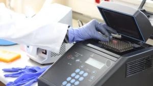 PCR test for Lyme Disease