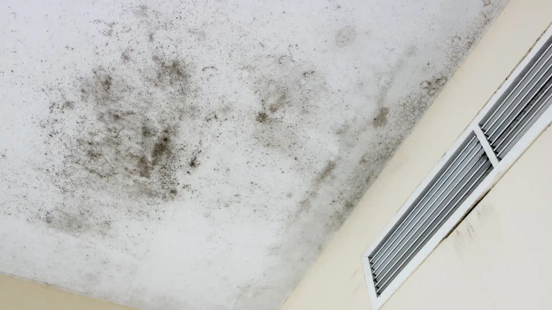 A water-stained ceiling corner above a window in a home