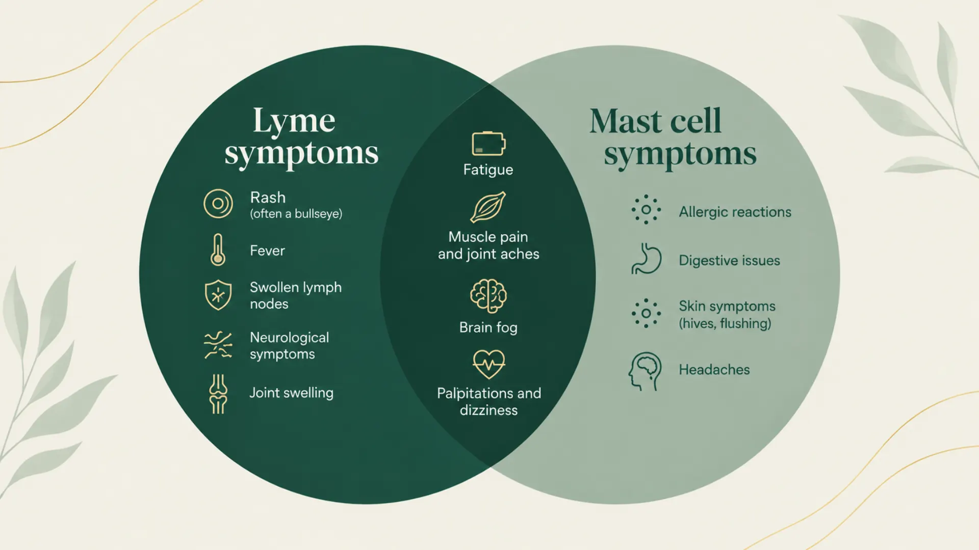 MCAS and Lyme symptoms overlap