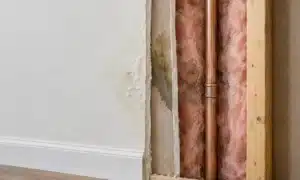 Cutaway illustration of a wall showing a pipe, drywall, insulation, and a damp patch behind the paint
