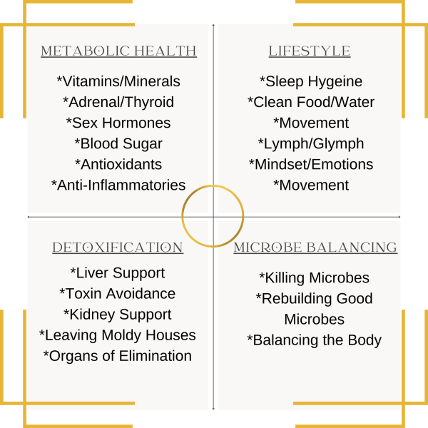 My lyme doc method matrix (8 × 8 in) (2)